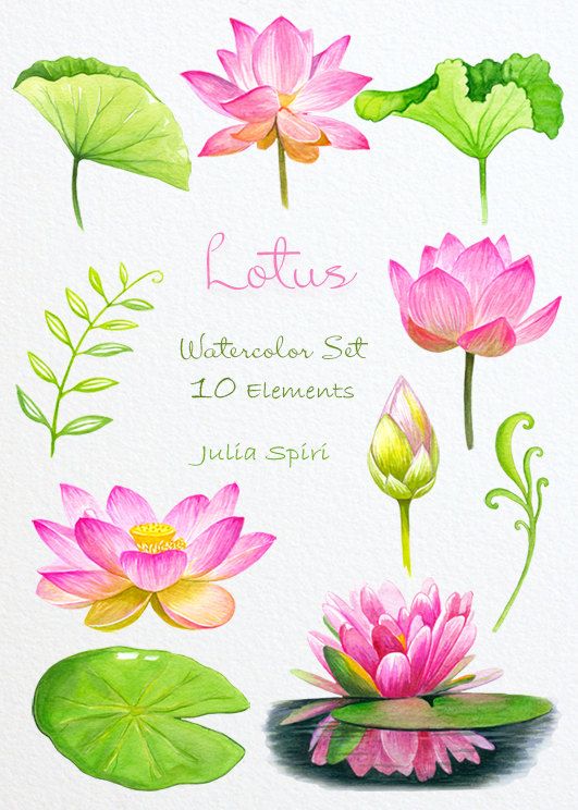 Mermaid & Lotus Watercolor Clipart, Siren, Wedding Flowers Invitation, Planner, Pink, Floral, Green, Buds, Leaf, Greeting card, Diy Romantic #craftsaleitems
