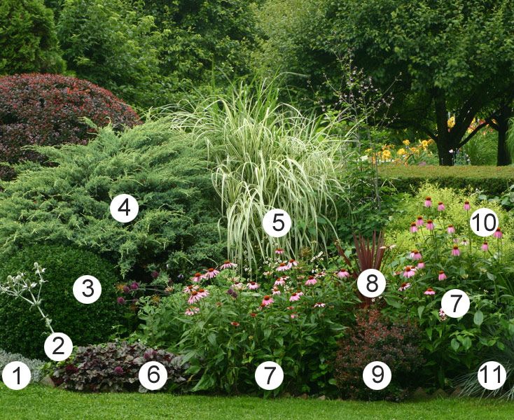 plant combos