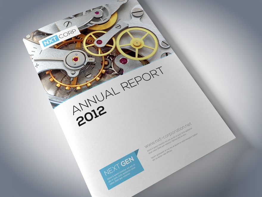 professional report covers