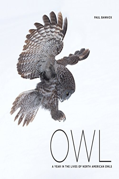 Owl A Year in the Lives of North American Owls PDF Paul Bannick