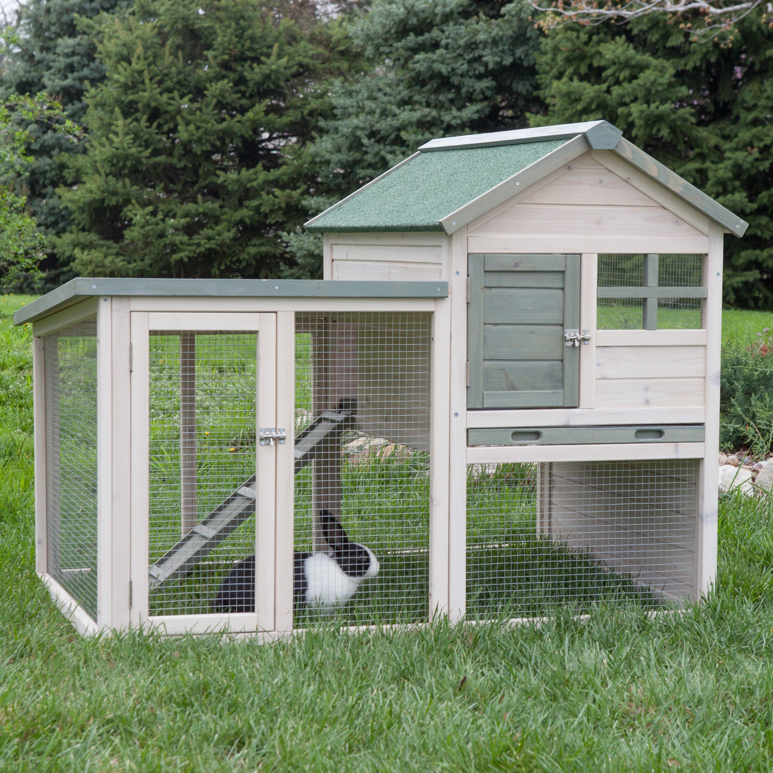 Boomer & George White Wash Rabbit Hutch – Keep your critters…