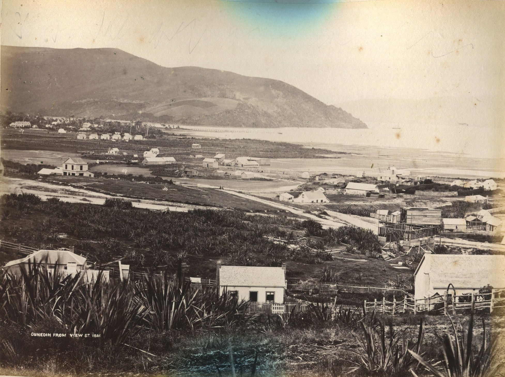 Dunedin From View Street 1861 Dunedin New Zealand Early Photos Dunedin From View Street 1861 Dunedin New Zealand Early Photos