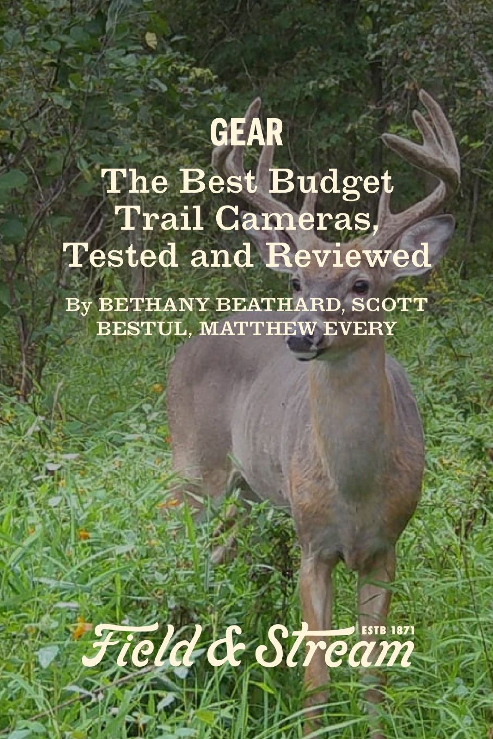 The Best Budget Trail Cameras, Tested and Reviewed
