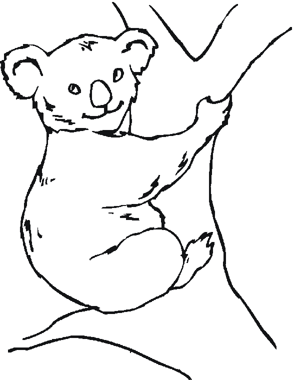 Australian Animals Coloring Pages On With