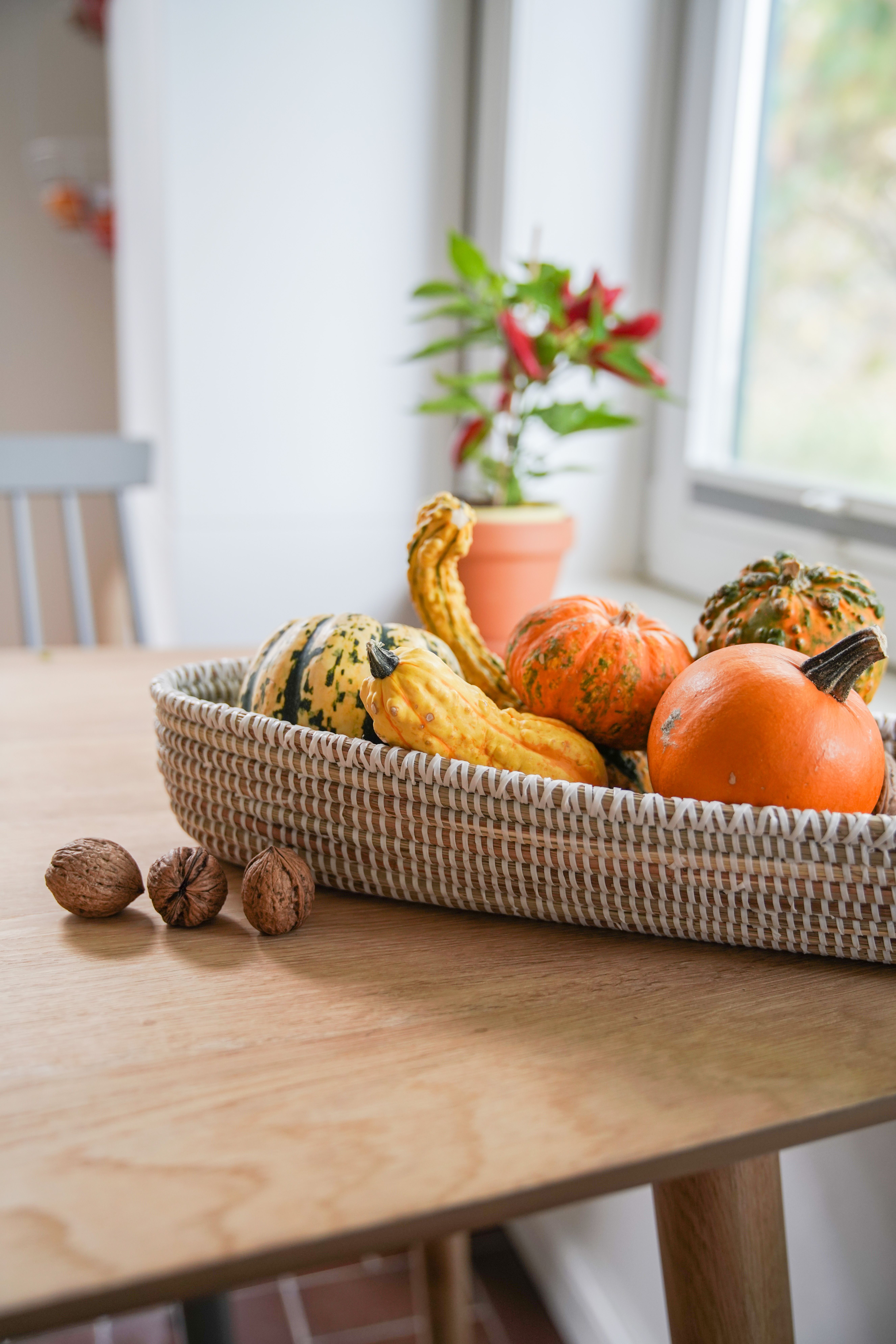 Zierkürbisse als wunderschöne Herbstdekoration als Oktober Deko. Kürbis Dekoration Oktober Zierkürbisse als wunderschöne Herbstdekoration als Oktober Deko. Kürbis Dekoration Oktober