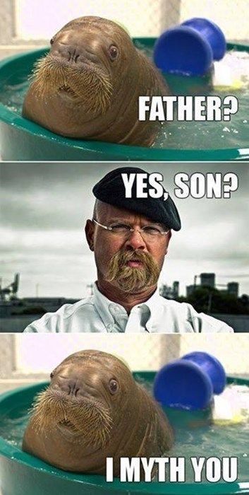 Father And Son | Funny pictures, Hilarious, Funny photos