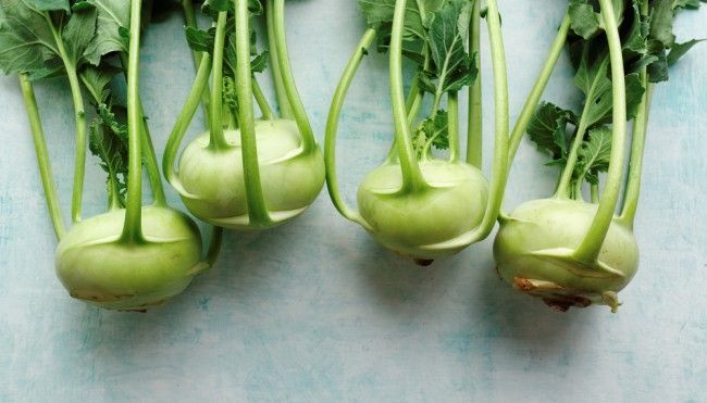 ein pladoyer fur mehr kohlrabi in deinem alltag gesunde ernahrung 0c9cf36d7f4b7a5dd49849bab1346e5e jpg