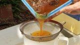 Raw honey being poured into a plastic jug through a sieve #plasticjugs