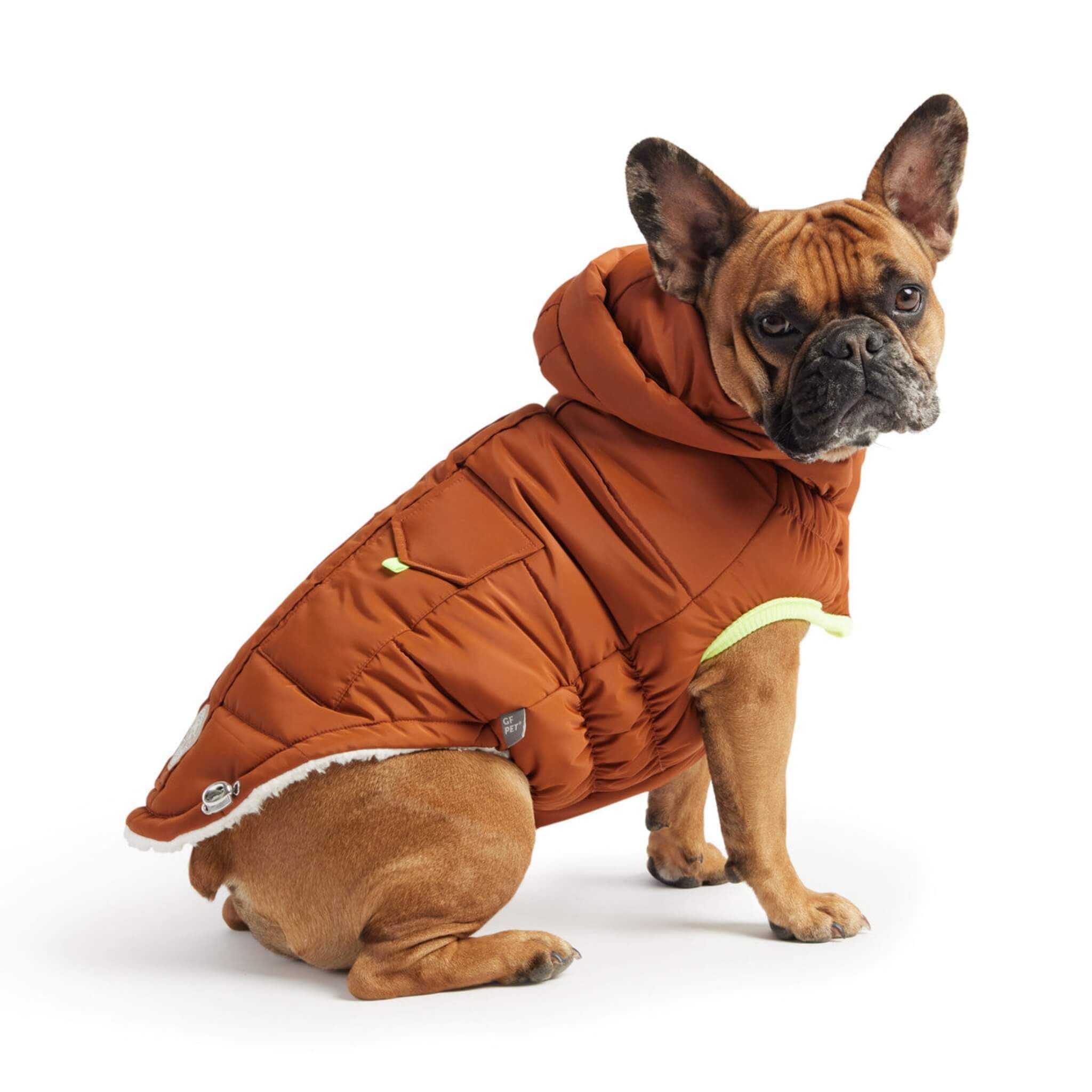 Dog Models Super Puff Dog Parka in Hazel Pet Supplies And Accessories, Super Puff, Online Dog Training, Group Of Dogs, Pet Boutique, Large Dog Breeds, Cat Grooming, Animal Logo
