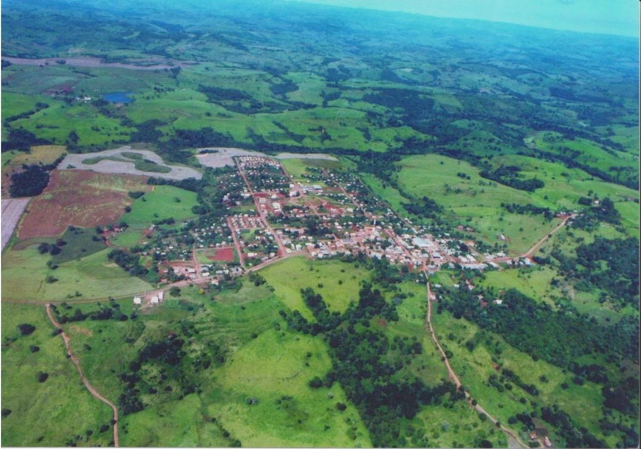 Laranjal Paraná fonte: i.pinimg.com