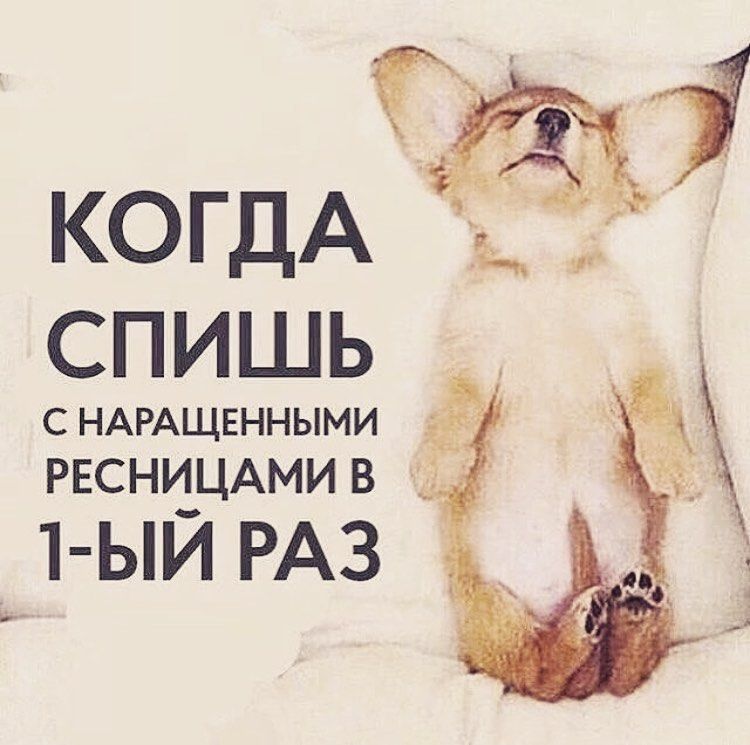 Смешные картинки лешмейкера
