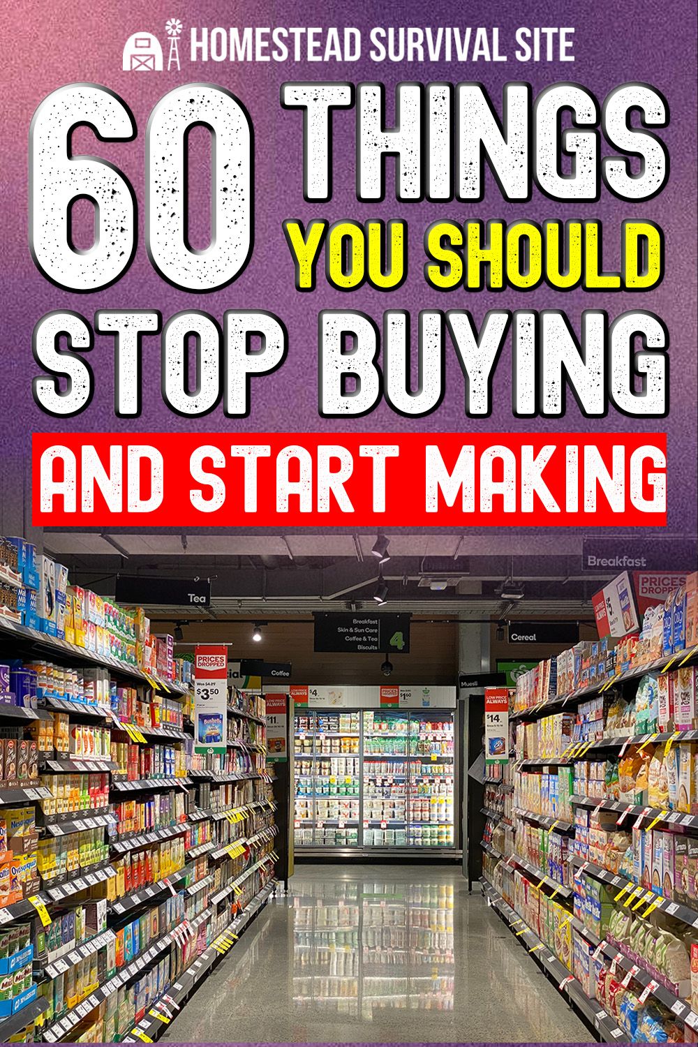 100 Things You Should Stop Buying and Start Making