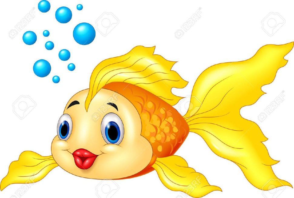 Pin En Fish