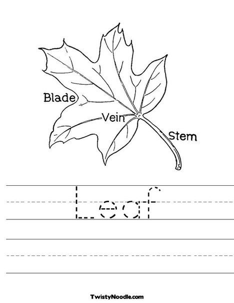 Leaf with Veins Worksheet from TwistyNoodle Fall - best of crayola coloring pages autumn leaves Leaf with Veins Worksheet from TwistyNoodle Fall - best of crayola coloring pages autumn leaves