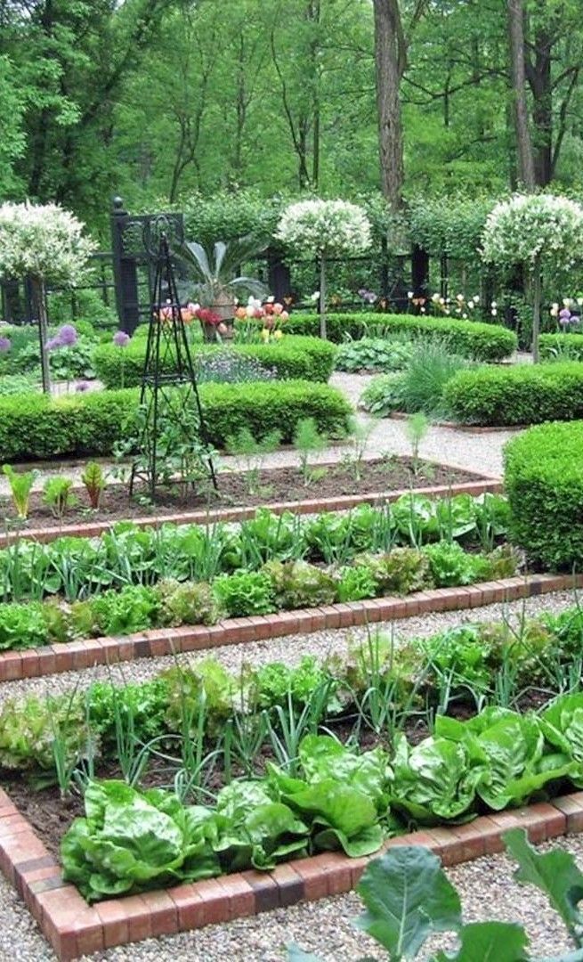 Formeller Gemüsegarten #BestGardenideassmallspaces #Formeller #gemüsegarten