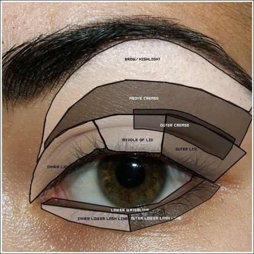 Basic need to know eye make up zones.