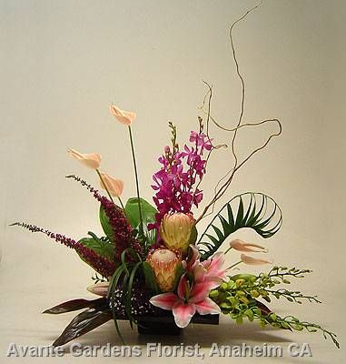 Original Aspx 381 400 Design Pinterest Tropical Flowers Original Aspx 381 400 Design Pinterest Tropical Flowers Flower Arrangements And