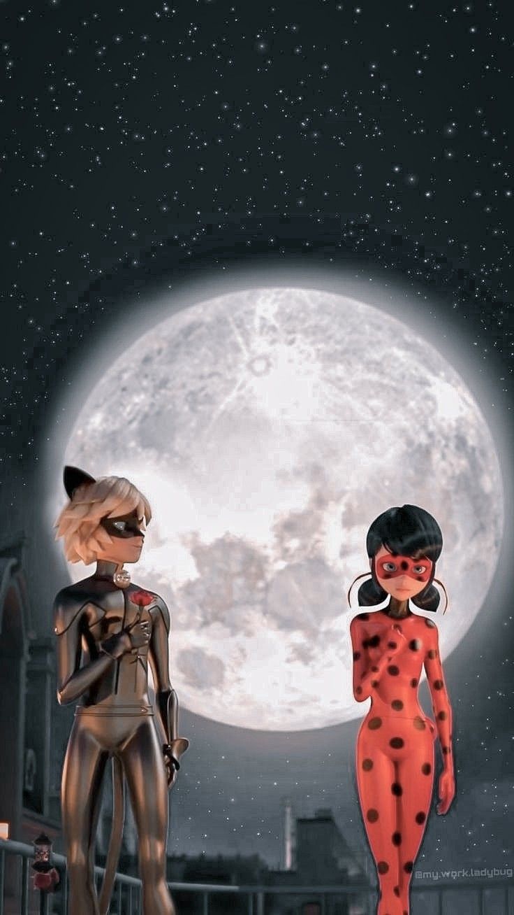 Wallpaper Miraculous - Ladybug e CatNoir Wallpaper Miraculous - Ladybug e CatNoir