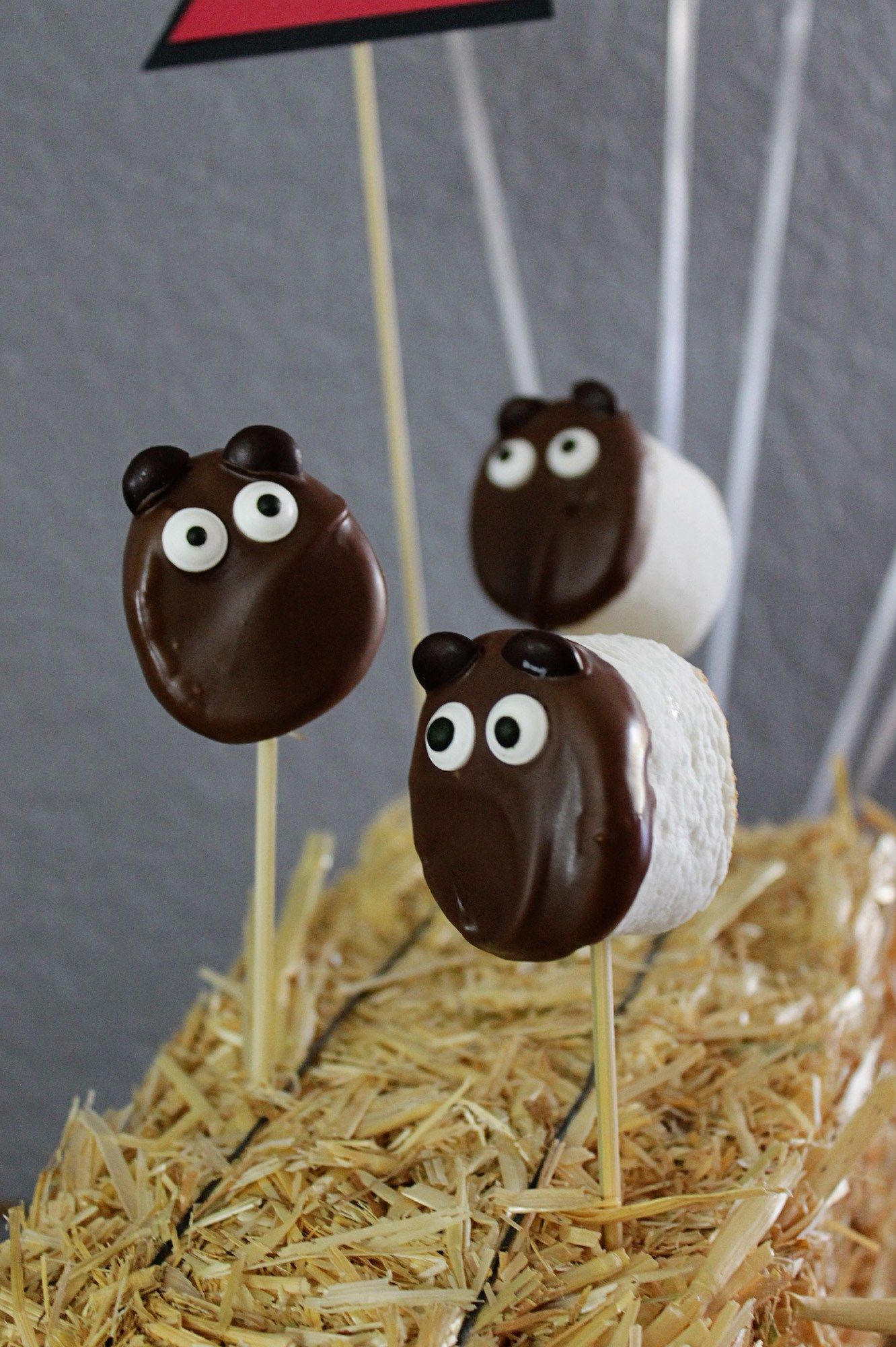 How To Train Your Dragon Party Toasted Sheep Dragon