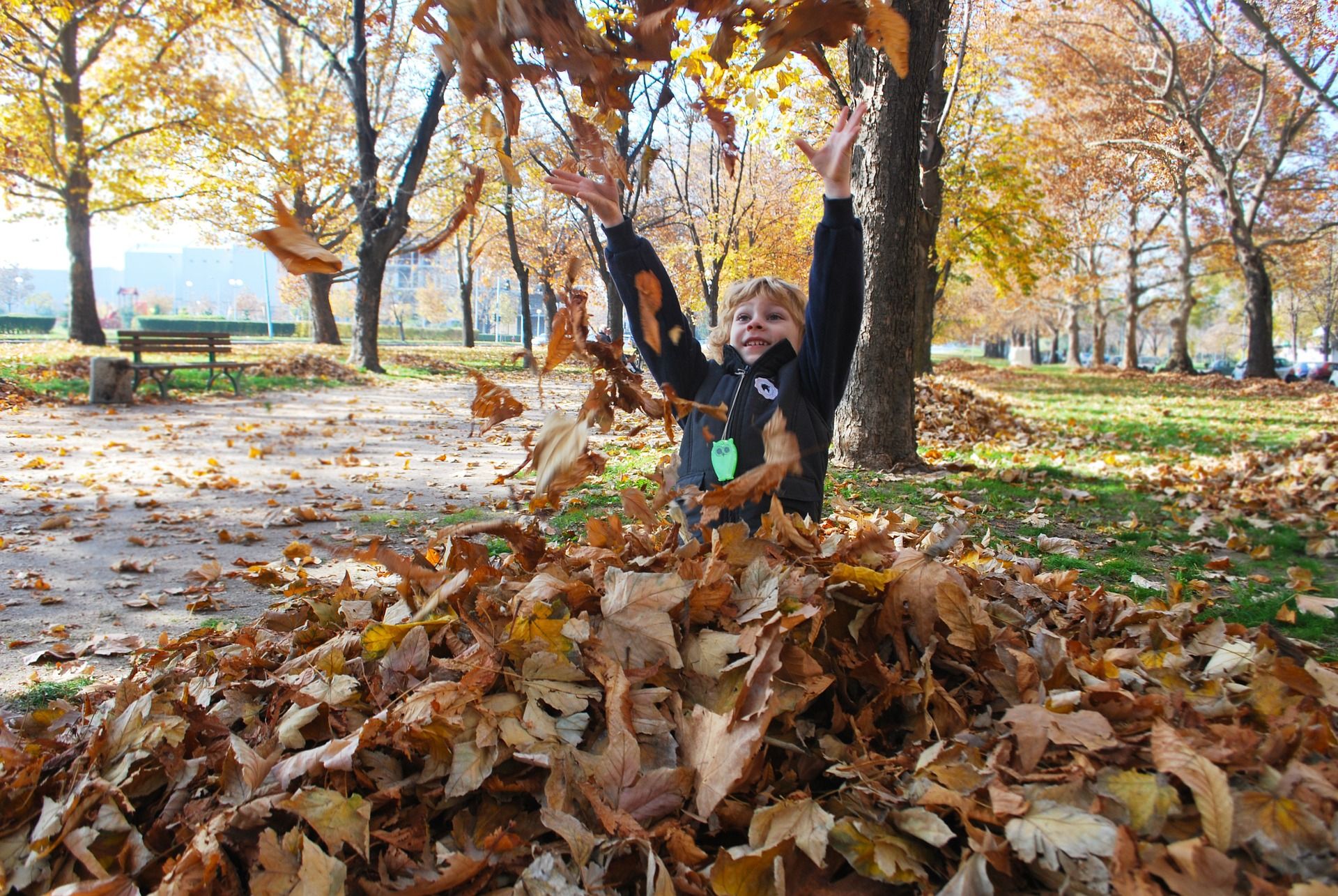 Doe-tip: De 5 leukste bosspellen Free Photos, Free Images, Stock Images Free, Cheap Travel, Budget Travel, What Happened To Us, Parenting Classes, Travel Sites, Vacation Trips