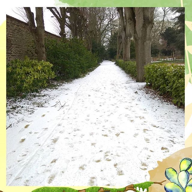 sorcière des bois ☪️ on Instagram: “Petit souvenir de l'année dernière qui je trouve est plus adéquat à la période hivernale. Oui la fille fait son climat sur-mesure 😂. Bon…”