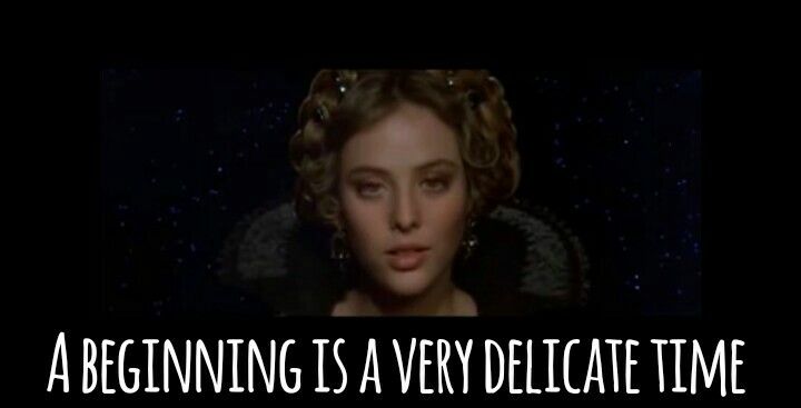 A Beginning Is A Very Delicate Time