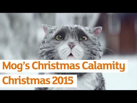 This Hilarious Ad Is All About A Clumsy Cat That Ruins Christmas Day For His Family Christmas Adverts Mog Mog The Cat This Hilarious Ad Is All About A Clumsy Cat That Ruins Christmas Day For His Family Christmas Adverts Mog Mog The Cat