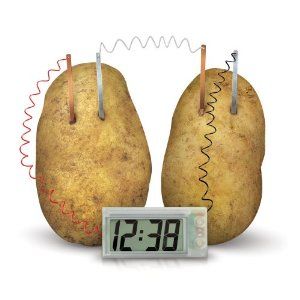 You Can Use Potatoes Apples Or Soda To Power A Digital Clock Kids Lab Science Kits Science Toys