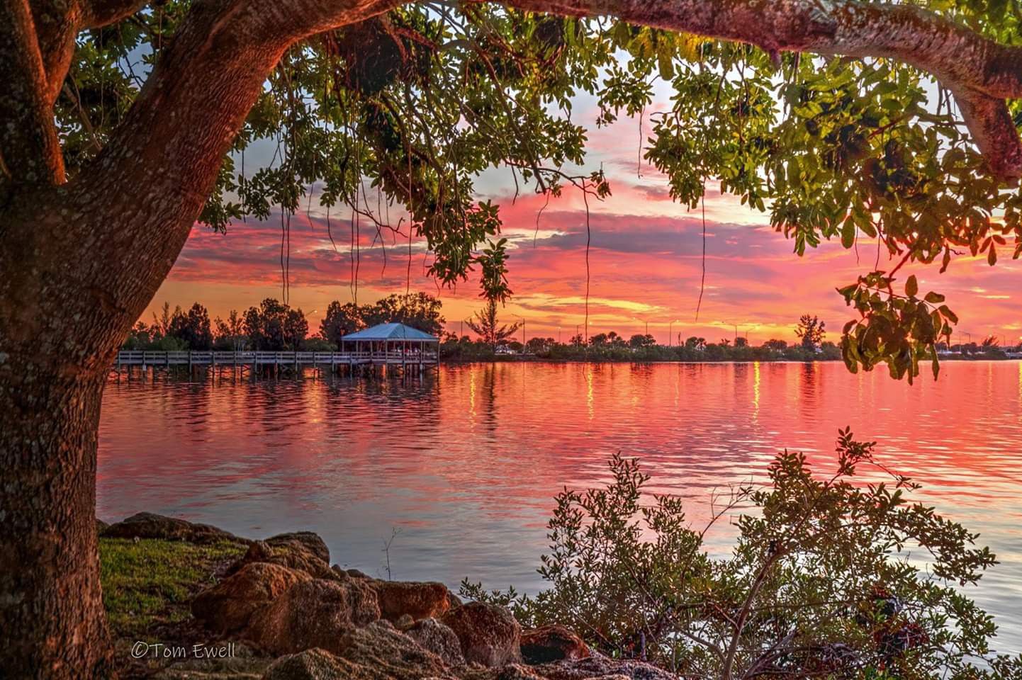 Riverside Park Indialantic Fl Riverside Park Florida Landscaping Florida