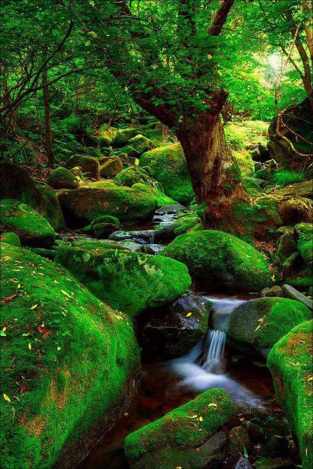 Very good Rain Photography Nature Beauty Pictures Very good Rain Photography Nature Beauty Pictures