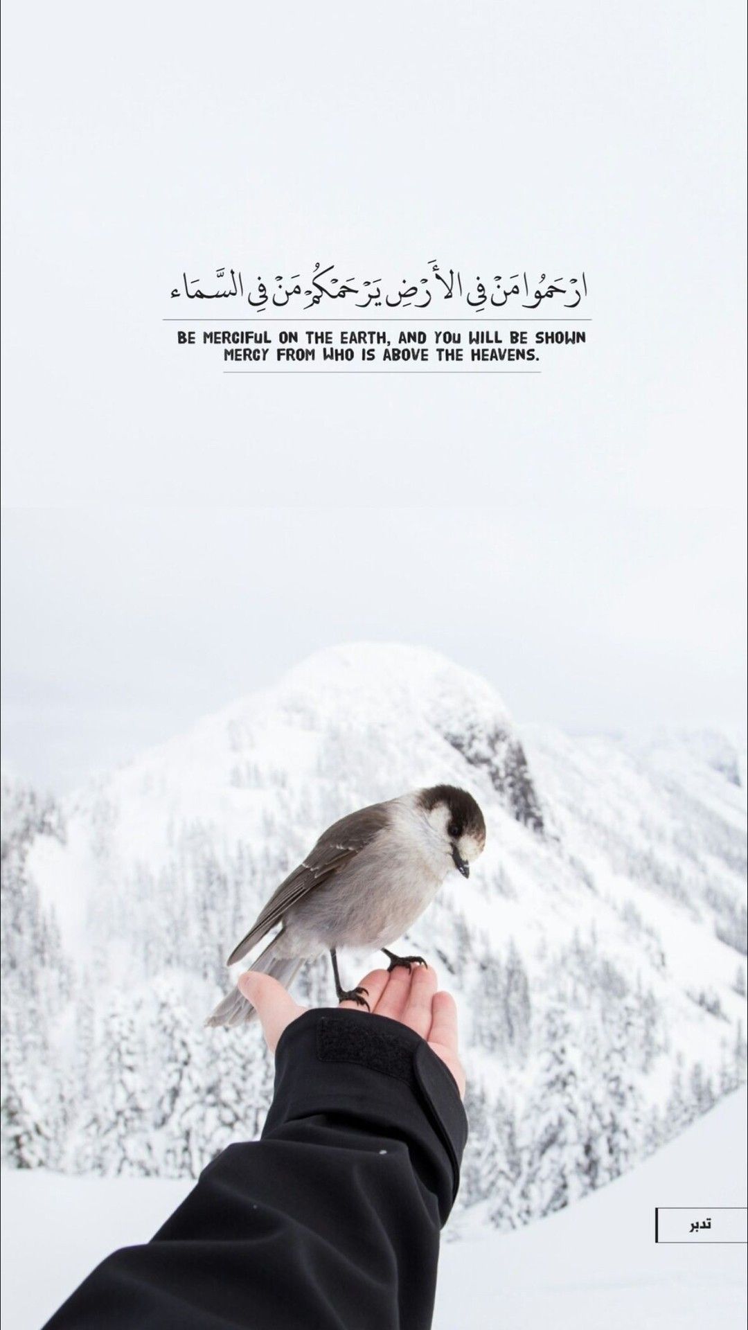 Pin by Jodi Kaafarani on inspire Pin by Jodi Kaafarani on inspire