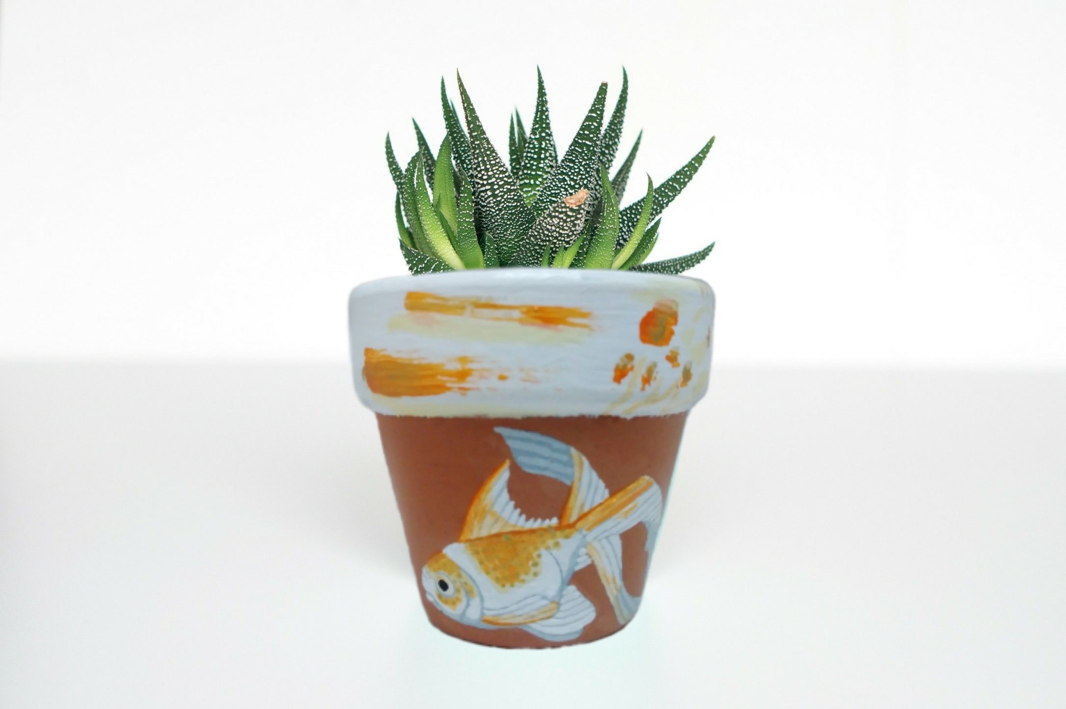 Patio Garden Terracotta Flower Pots Terracotta Plant Pots Terracotta Pots