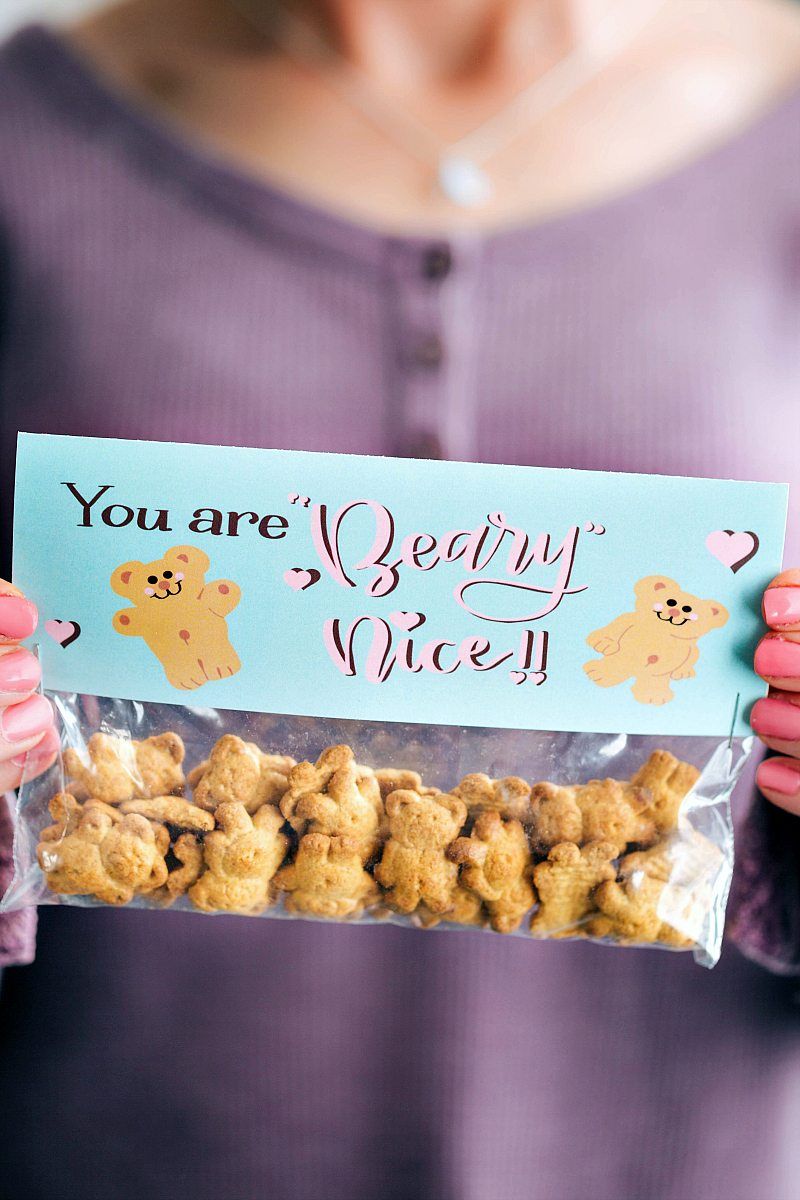 Shimmer and shinne Treat Bag Toppers Candy Bag Toppers Printable Candy Bag Toppers Labels for Birthday Party Favor Bags Instant Download