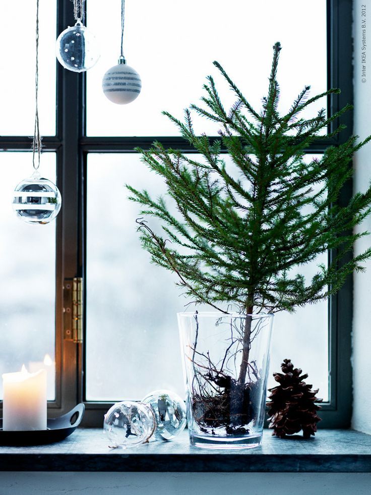 decorare con ramo di pino 29 idee fai da te da vedere decorare con ramo di pino 29 idee fai da te decorare con ramo di pino oggi in questo post abbiamo raccolto per voi alcune idee per decorare casa con i
