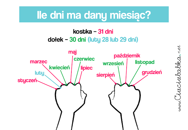 Ile dany miesiąc ma dni? Liczenie na kosteczkach - plansza edukacyjna.