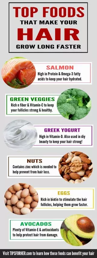 top foods that make your hair grow long faster hair pinterest food top foods that make your hair grow long faster