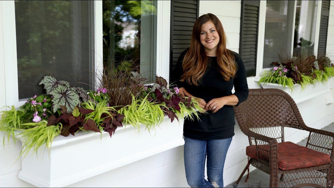 Shade Window Box Arrangement Garden Answer With Images