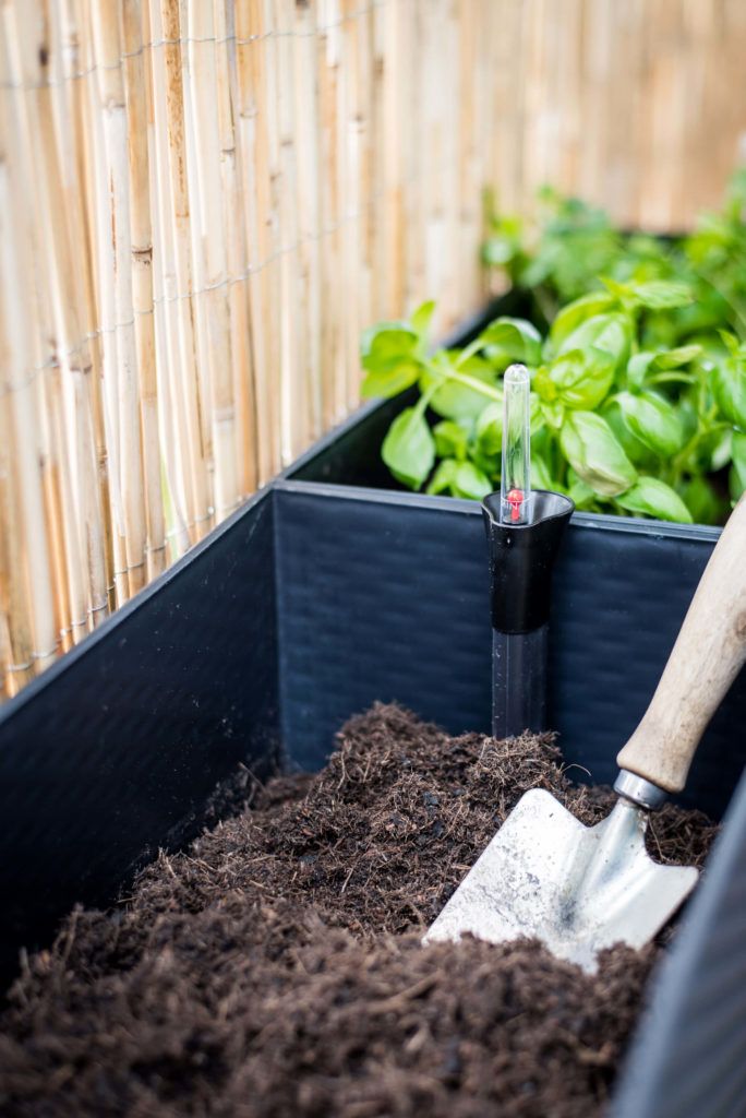 BalkonKräutergarten Welche Kräuter passen zusammen ins Hochbeet?