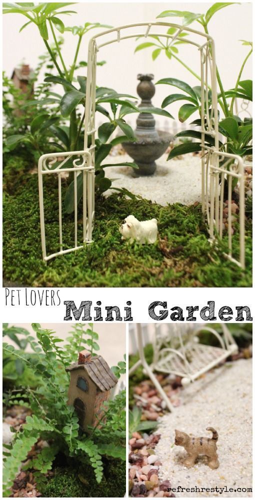 Mini Garden Pet Lovers