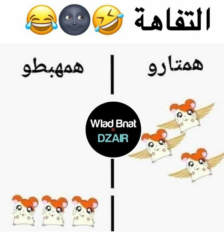 همتارو يصيح فالزاوية Funny Art Memes Funny Phrases Fun Quotes Funny