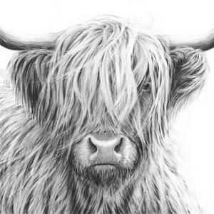 Highland Cow Poster Print // Black and White photo // Modern | Etsy in