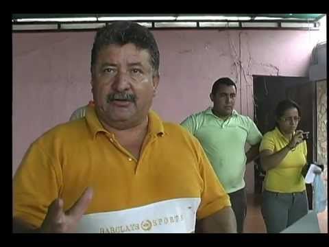 Como Construir Incubadoras Para Huevos De Codornices Pollos De Engorde Codornices Huevos De Codorniz