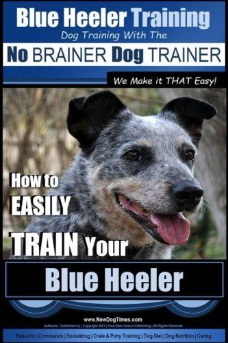 Blue Heeler Training Dog Training With The No Brainer Dog Trainer
