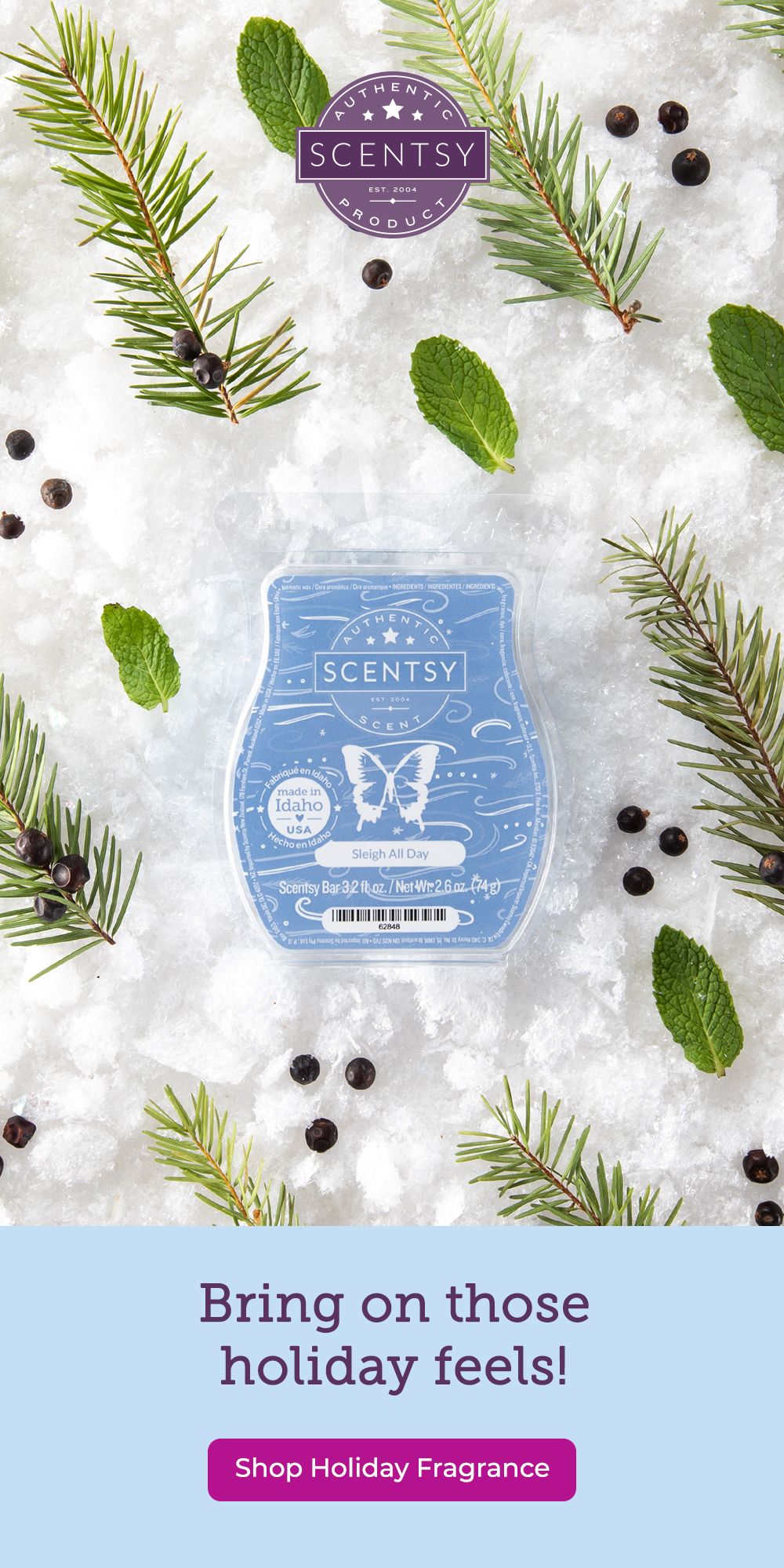 scentsy dashboard scentsy dashboard