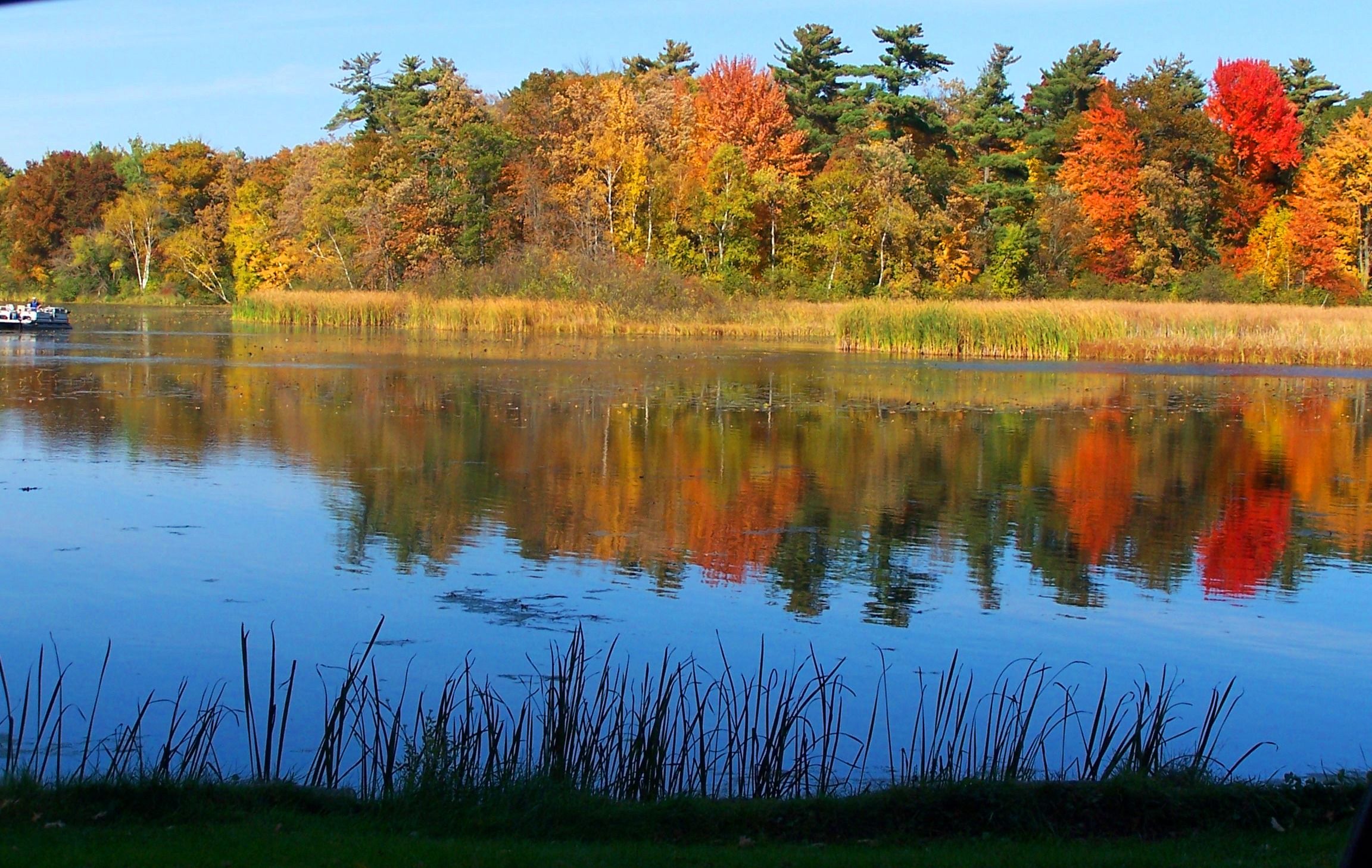 Fall Color Report Peak Foliage Map Travel Wisconsin Wisconsin Travel Wisconsin Fall Colors Foliage Map