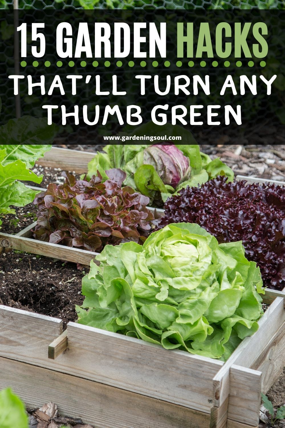 15 Garden Hacks That Ll Turn Any Thumb Green Gardening Tips