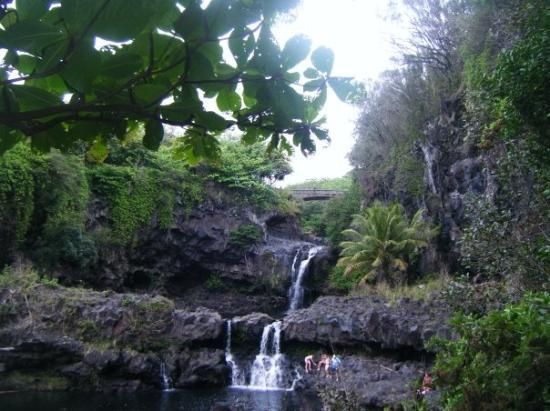 Sacred Pools Hana Maui Like Wordless Beauty Haleakala National Park National Parks Maui Travel