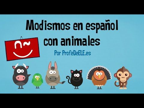 expresiones con animales spanish lesson