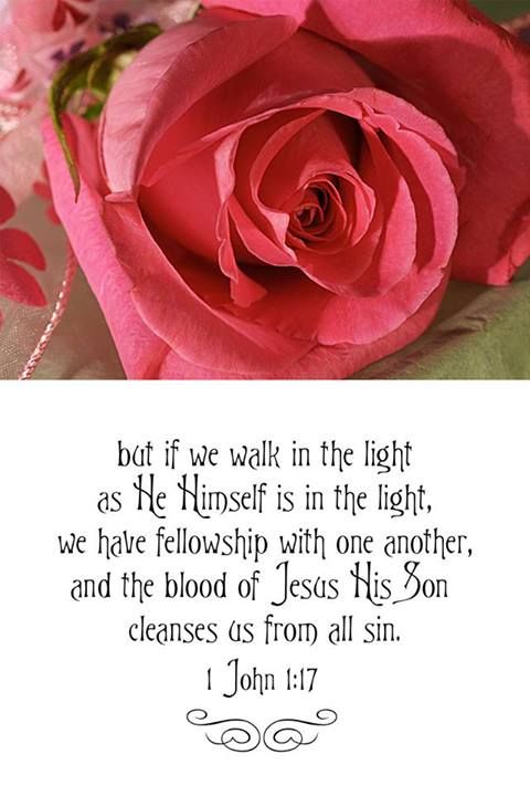 1 John 117 Banners Pinterest