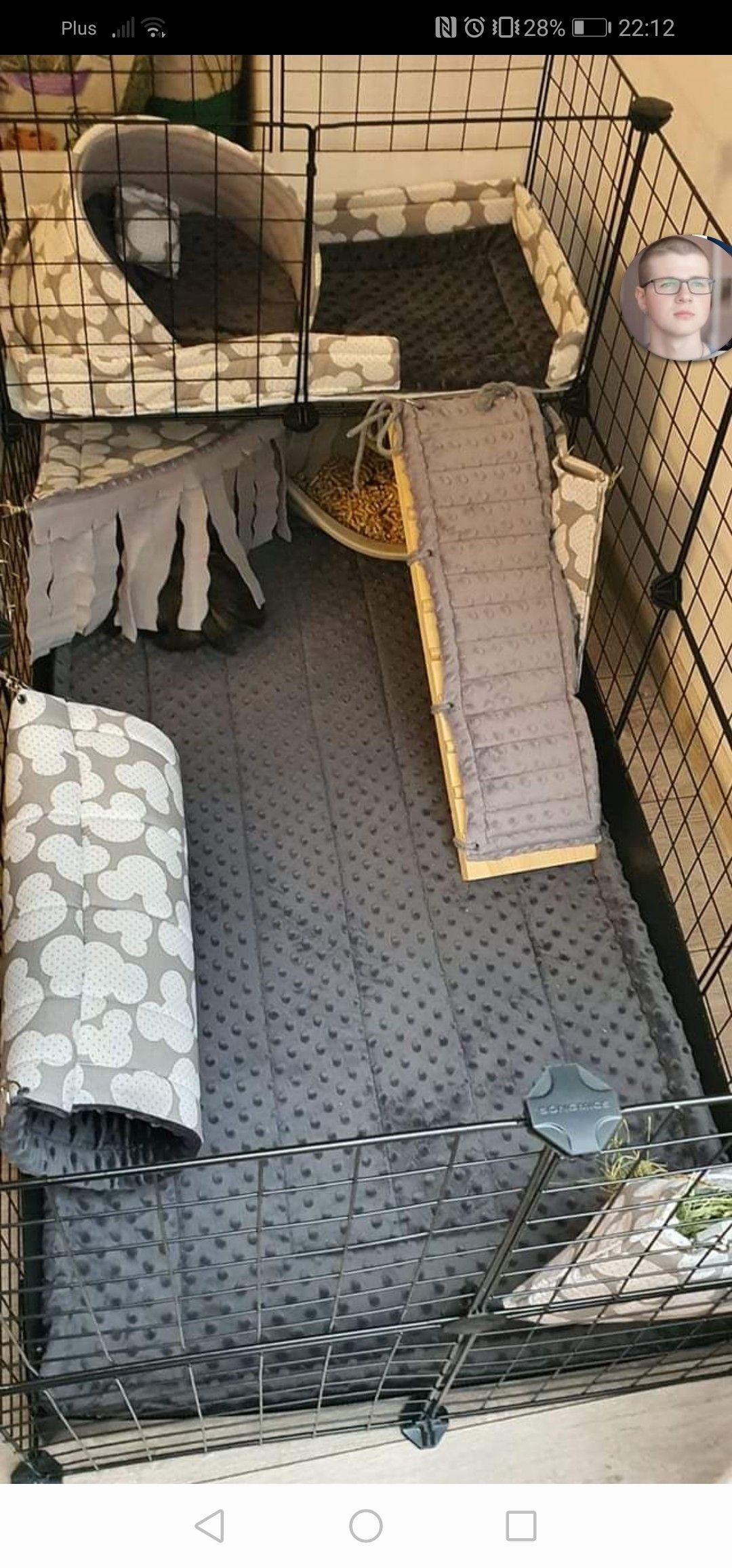 Pin On Rubi In 2024 Indoor Guinea Pig Cage Guinea Pig Cage Guinea Pigs pin-on-rubi-in-2024-indoor-guinea-pig-cage-guinea-pig-cage-guinea-pigs